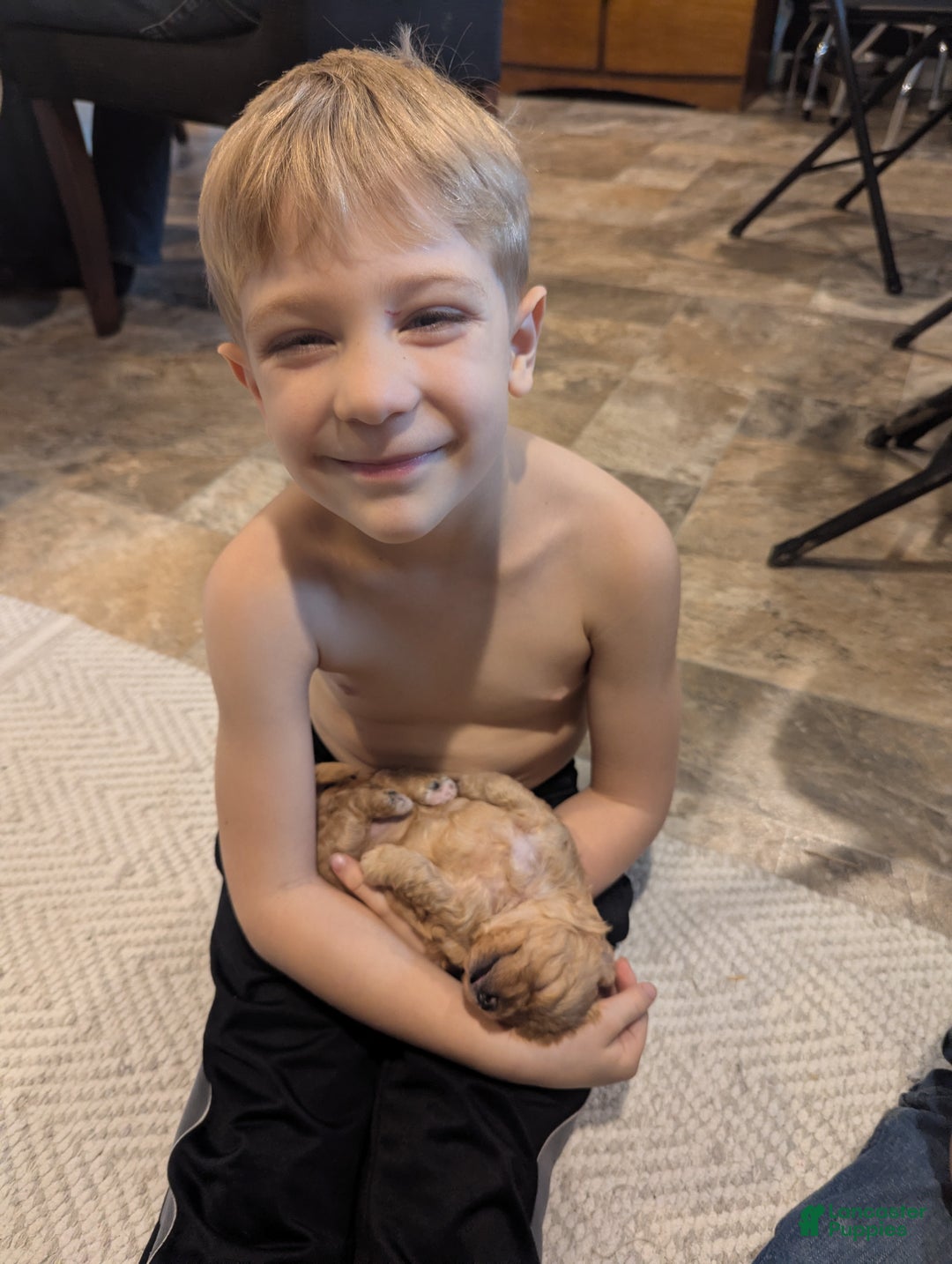 Mixed Breed dogs for sale: Luna  - Ad 12