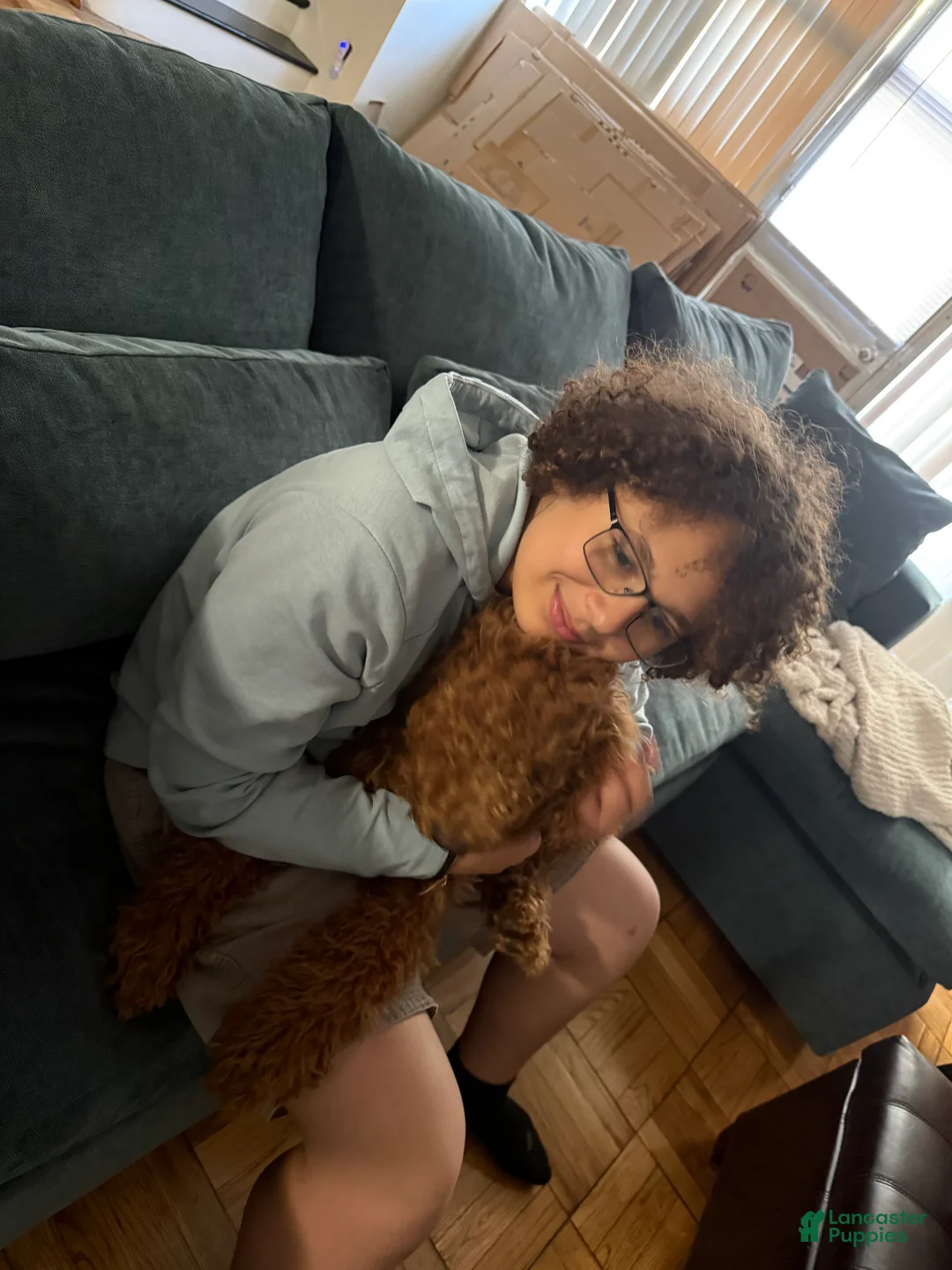 Gallery Image {{count}}