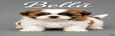 Bella