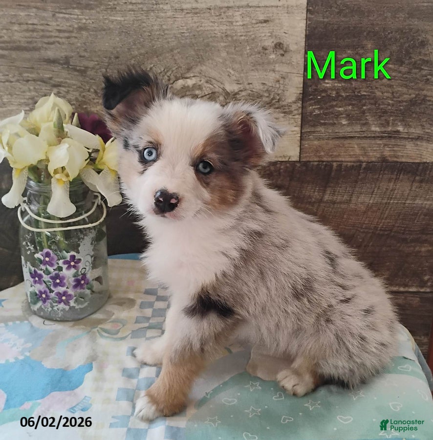 Mark