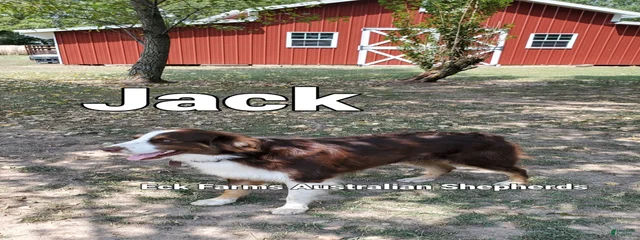 Jack
