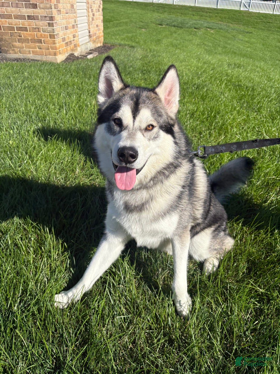 Gallery Image {{count}}