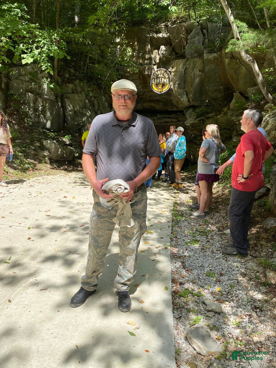 Gallery Image {{count}}