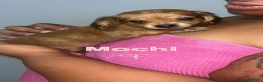 🍡 Mochi