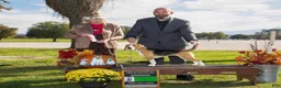 Beagle dogs for sale: Beagle 2 - Ad 3