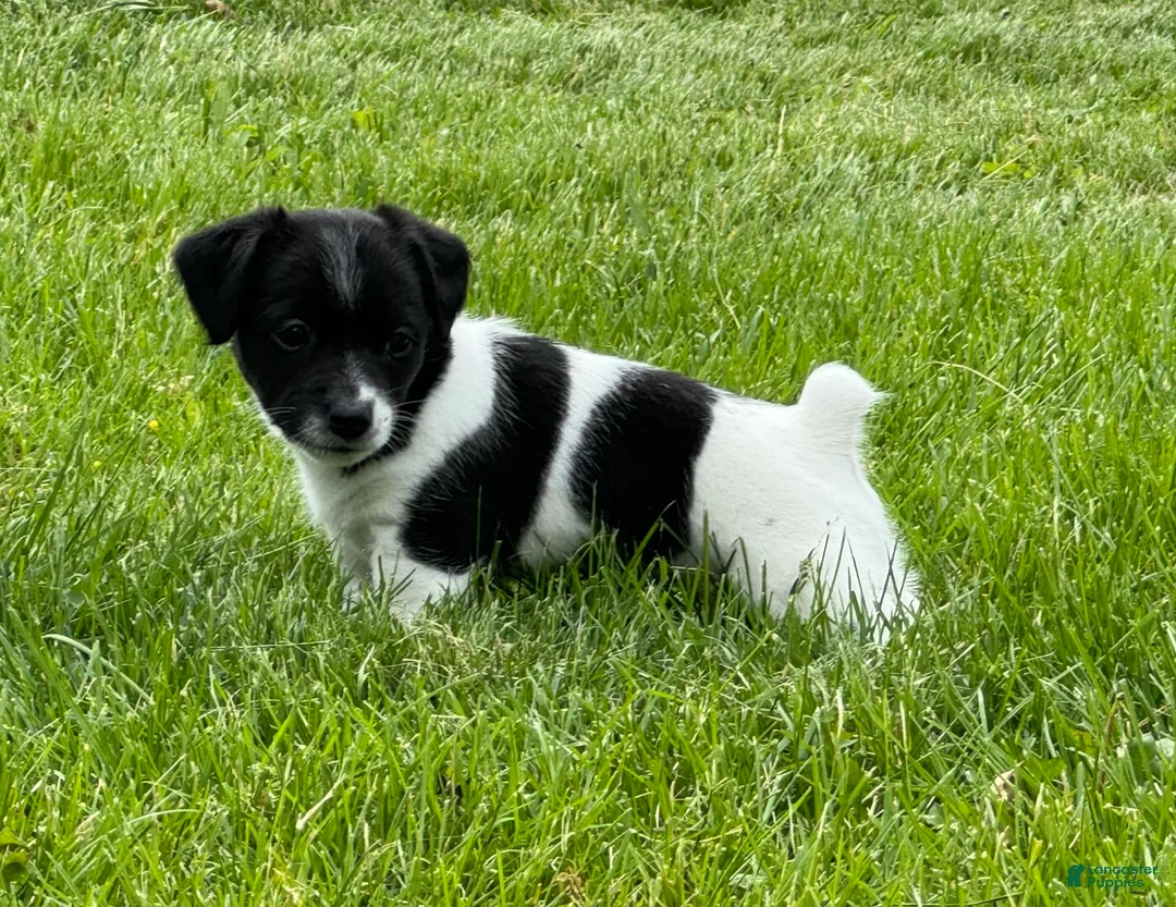 Gallery Image {{count}}