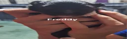 Pomeranian dogs for sale: Freddy - Ad 4