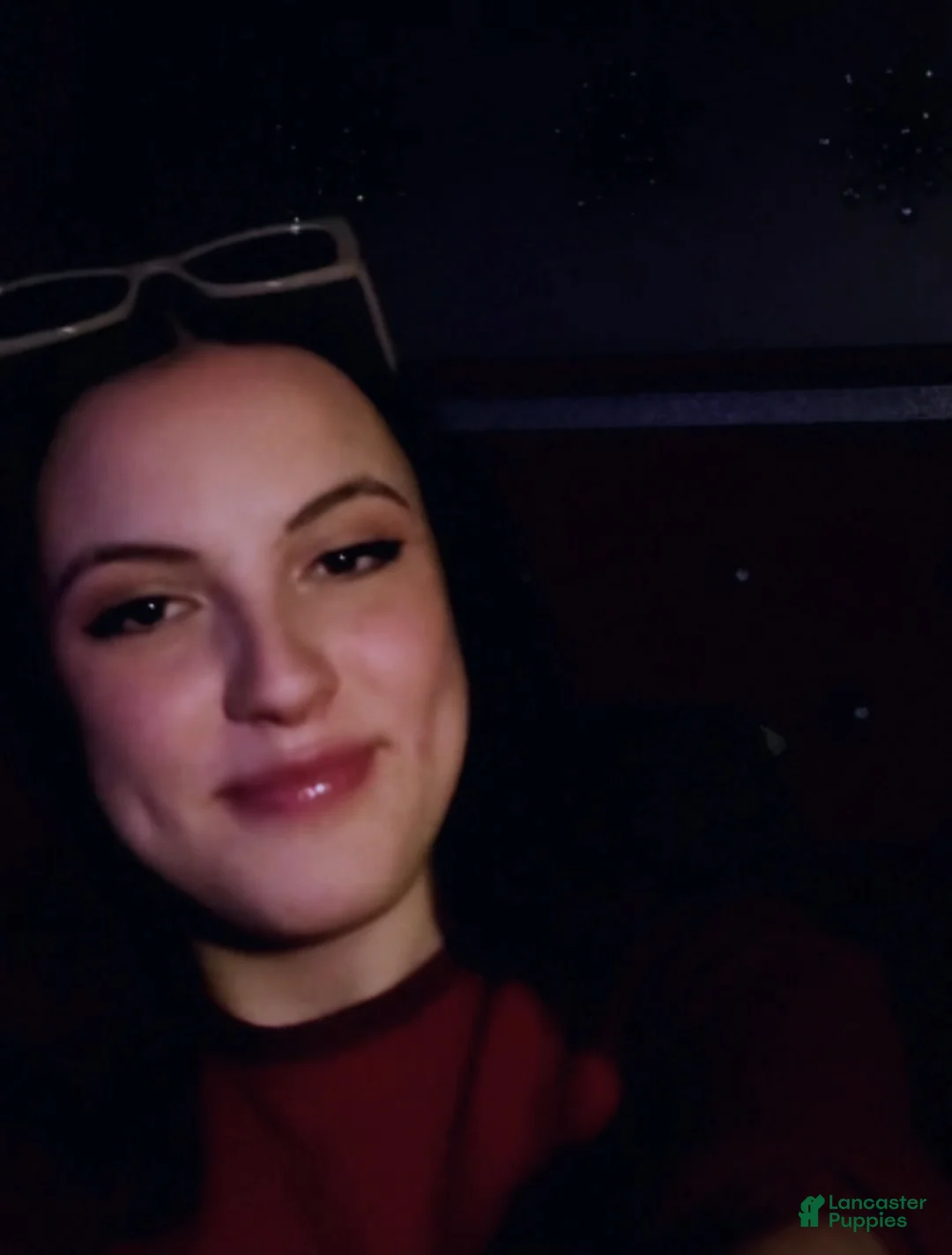 Gallery Image {{count}}