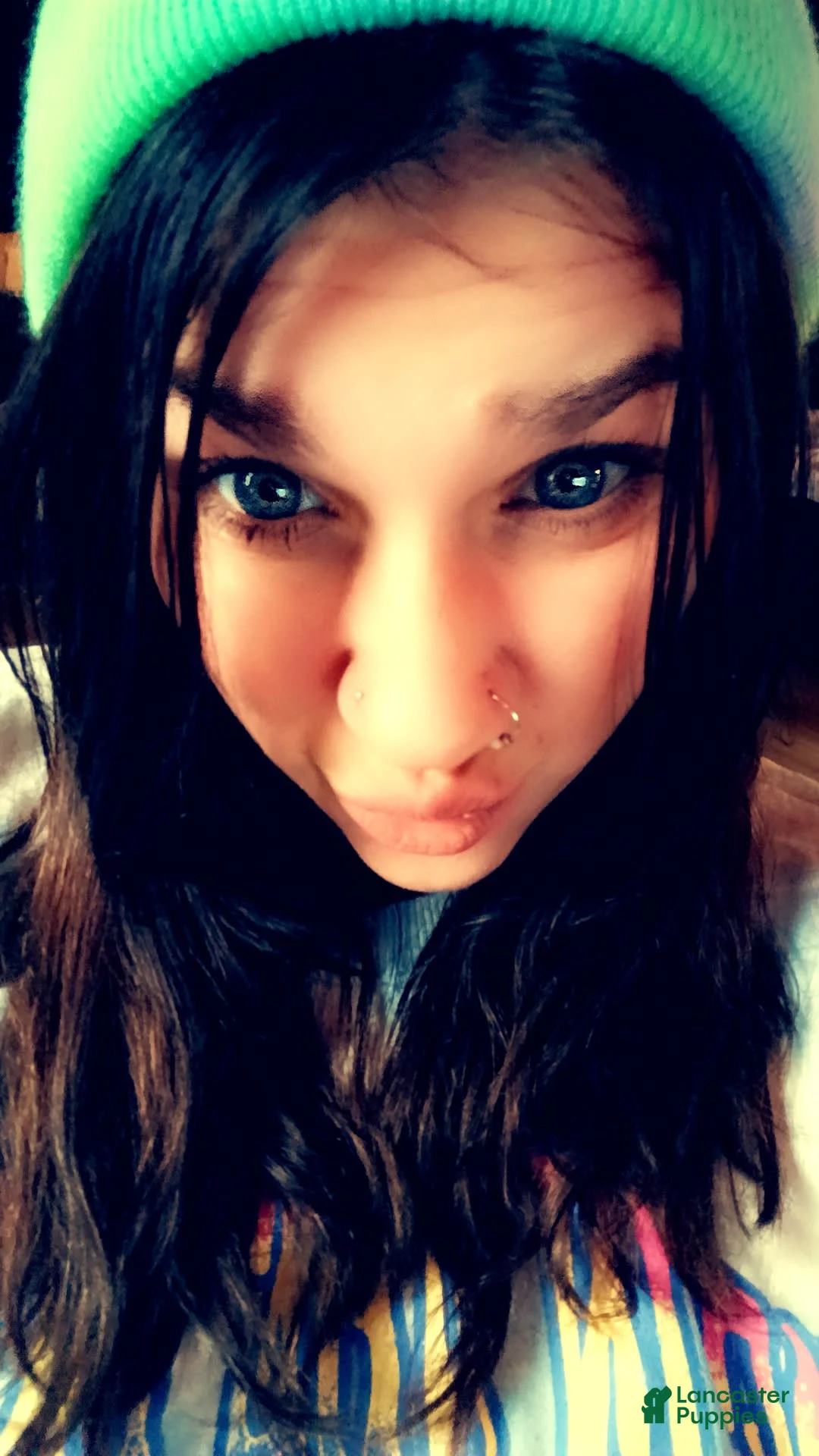 Gallery Image {{count}}