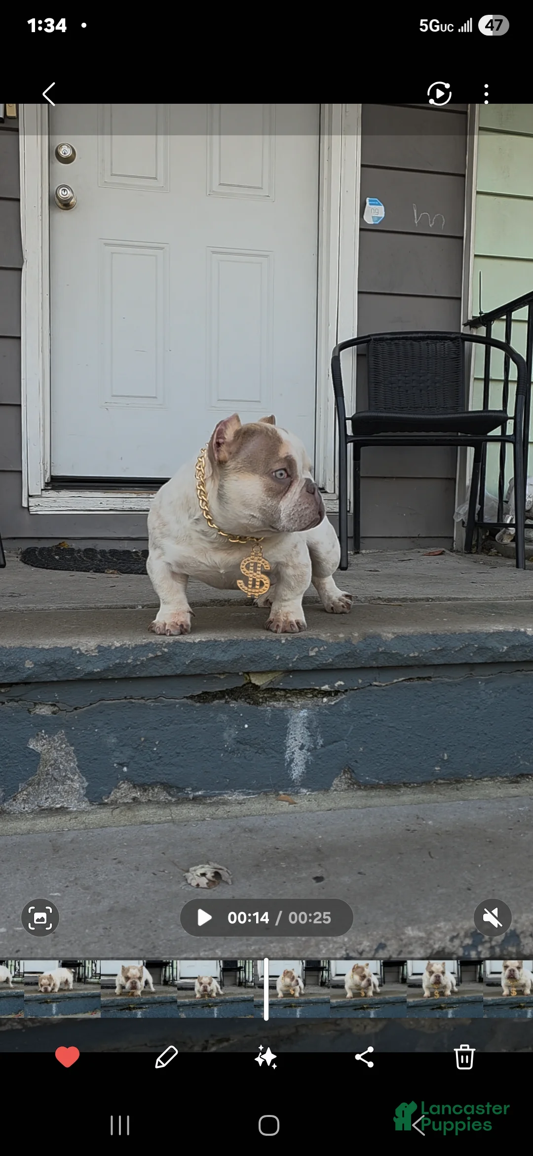 Gallery Image {{count}}