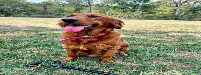 Roxy