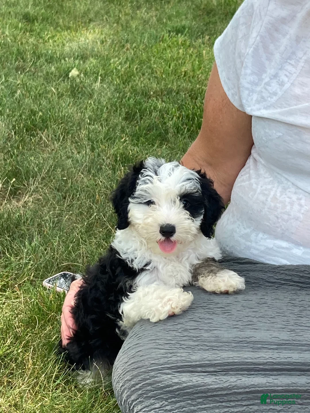 Gallery Image {{count}}