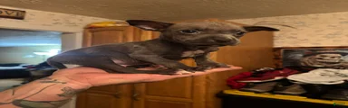Binx
