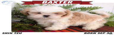 Baxter