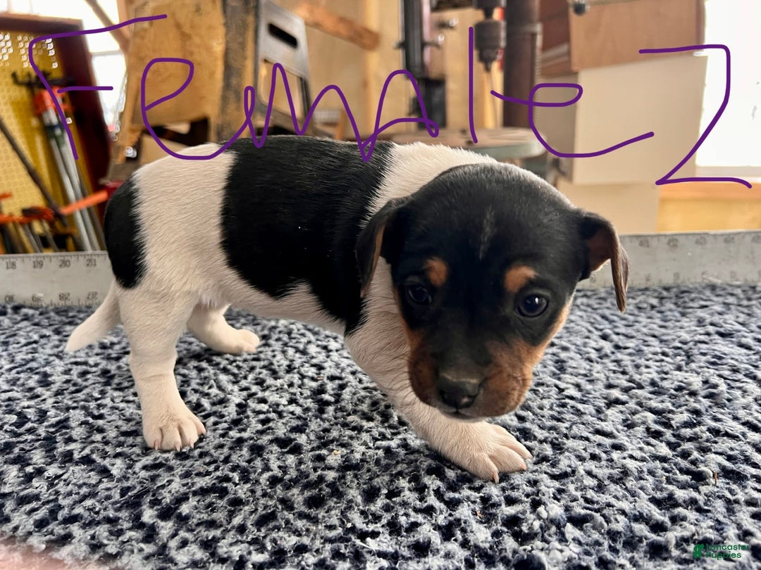 Gallery Image {{count}}