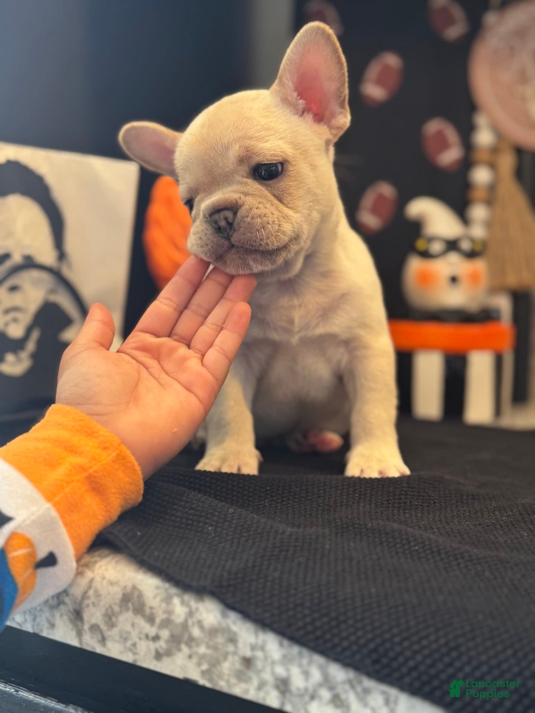 Gallery Image {{count}}