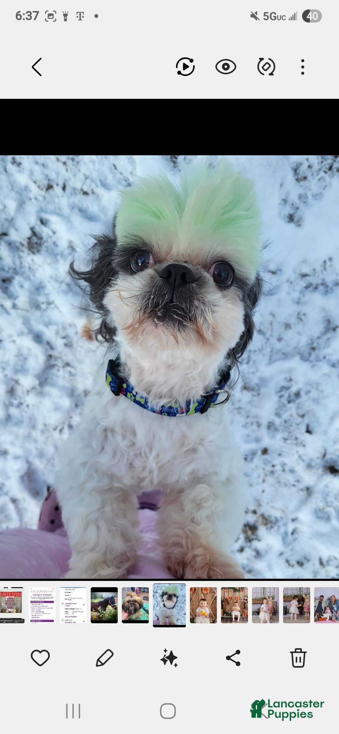 Olaf