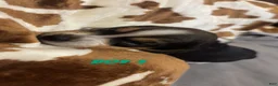 Beagle dogs for sale: Beagle 1 - Ad 1