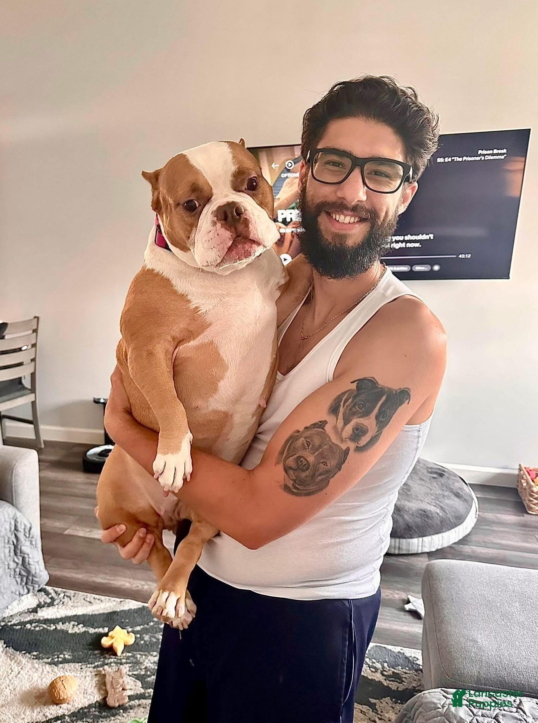 Gallery Image {{count}}