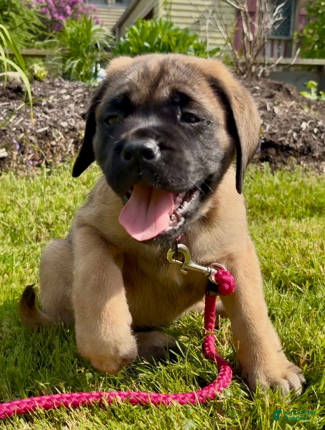 Gallery Image {{count}}