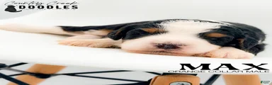 Max