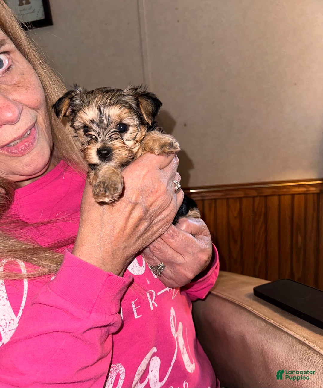 Gallery Image {{count}}