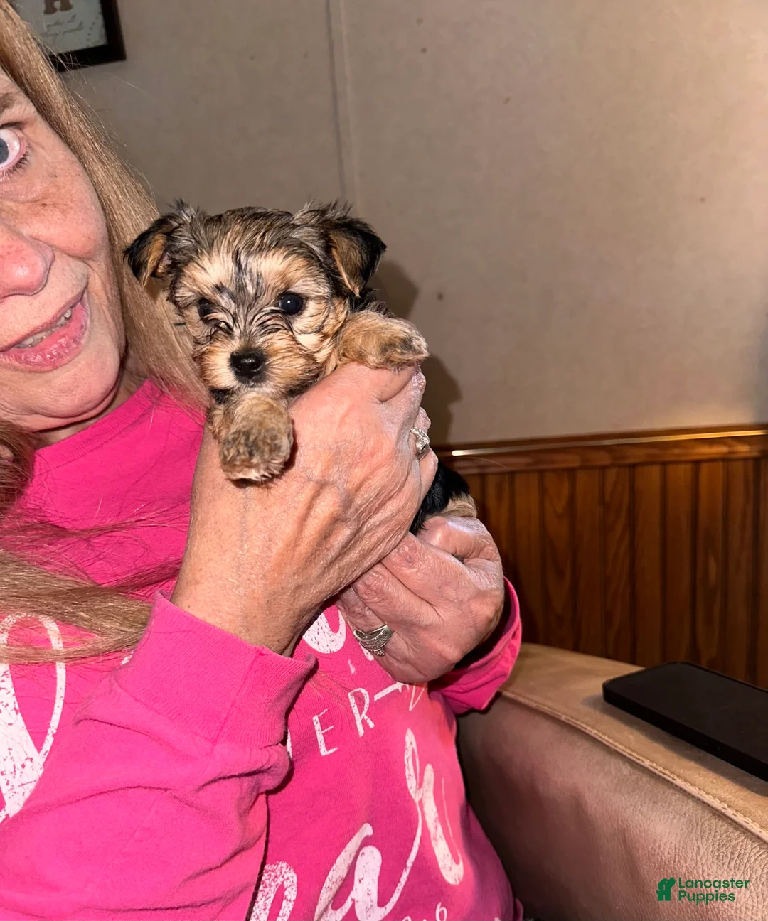 Gallery Image {{count}}