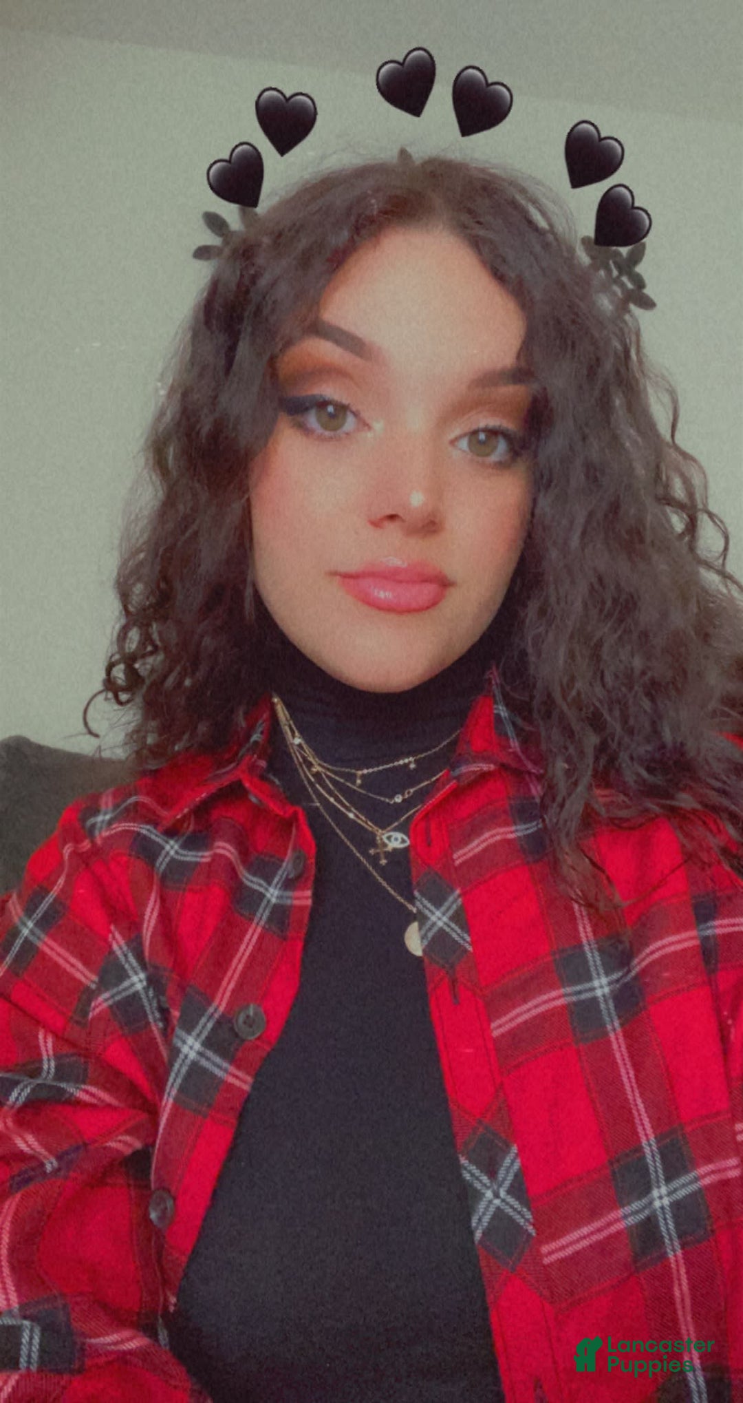 Gallery Image {{count}}