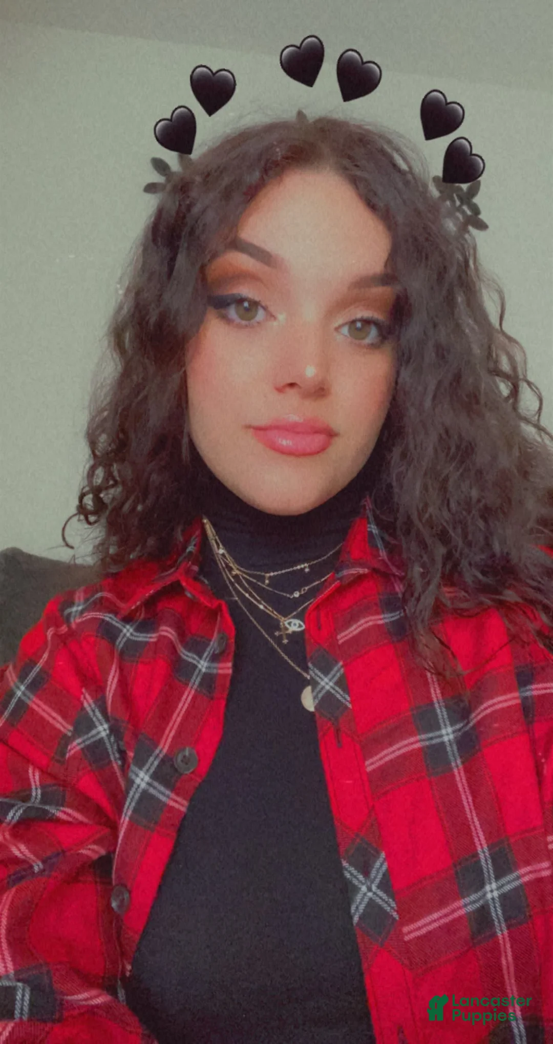 Gallery Image {{count}}