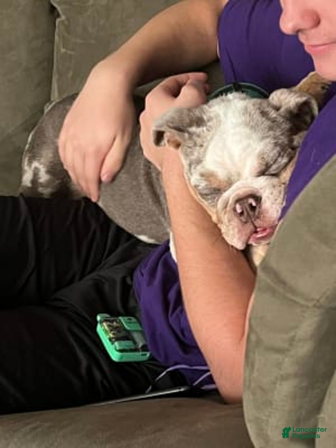 Gallery Image {{count}}