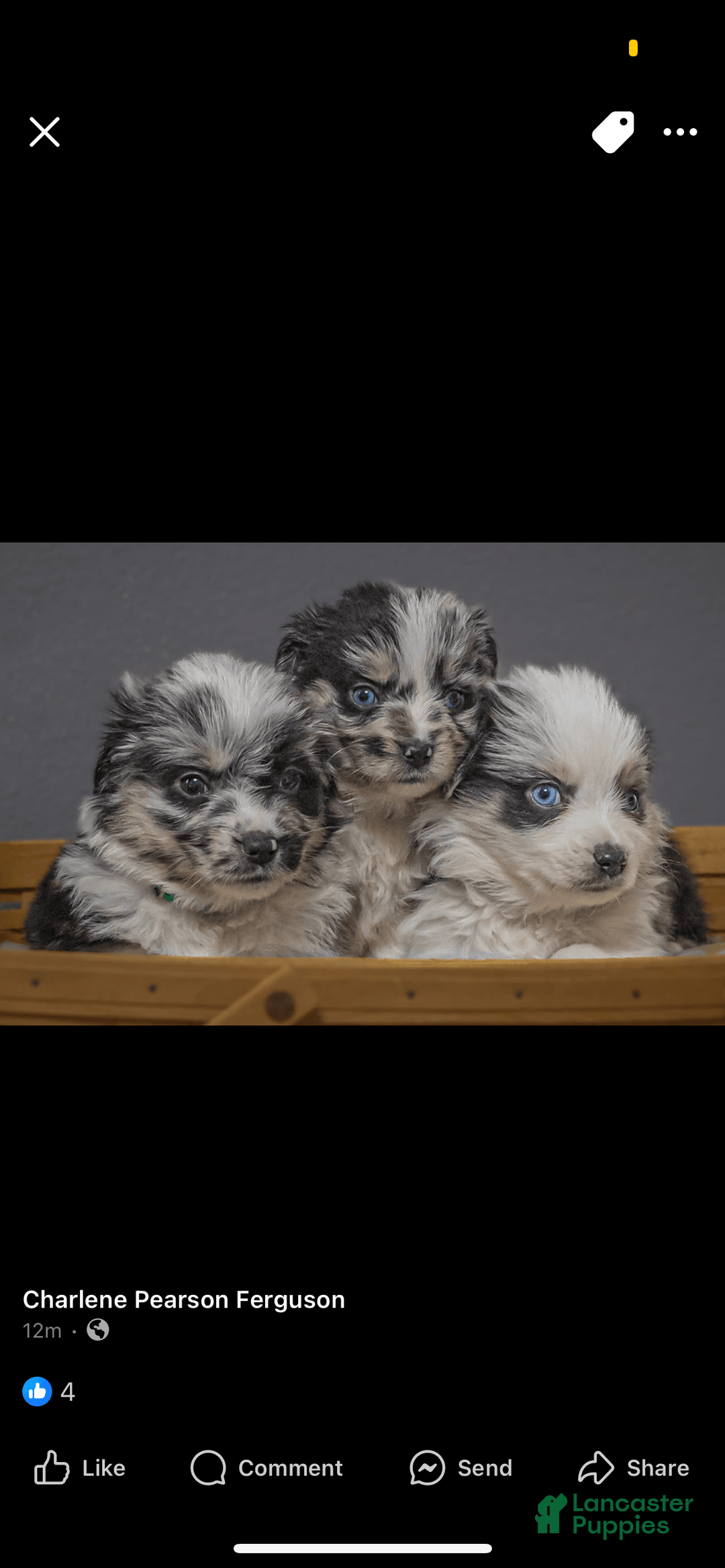 Gallery Image {{count}}