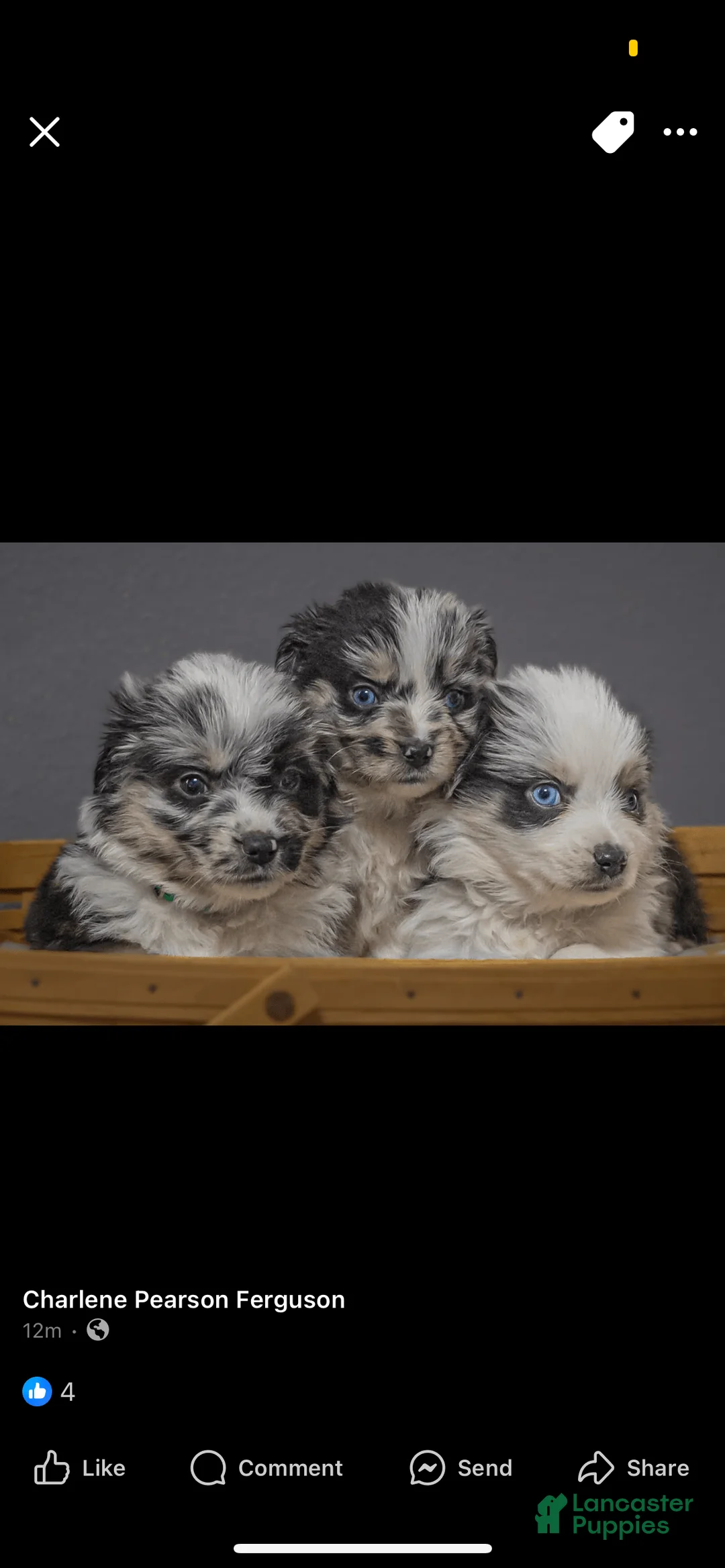 Gallery Image {{count}}