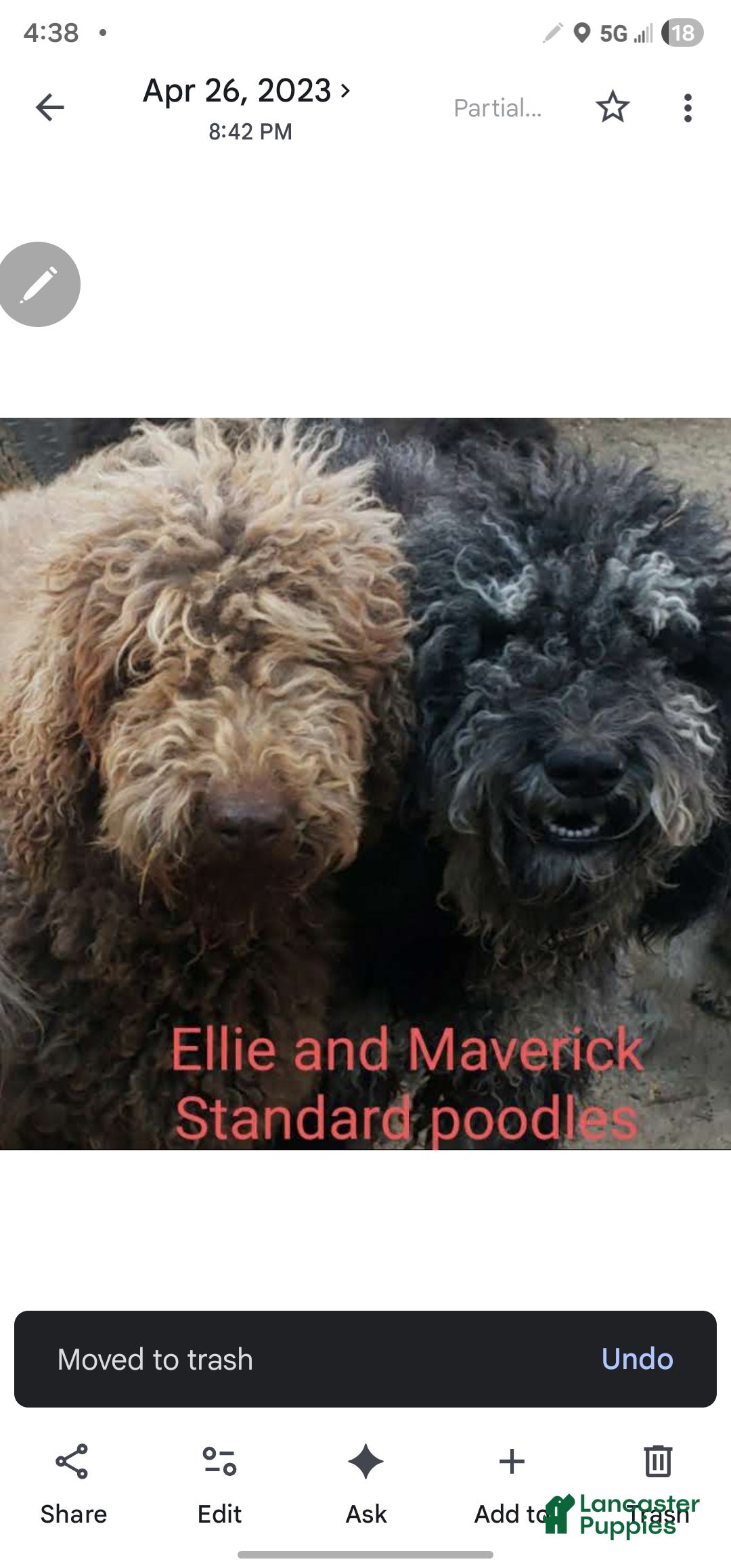 Ellie and Maverick