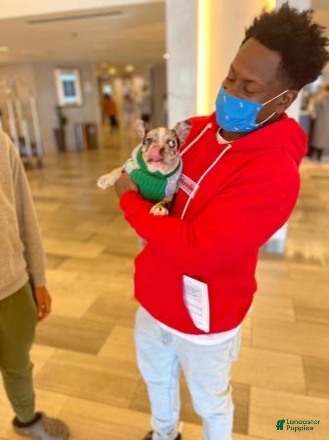 Gallery Image {{count}}