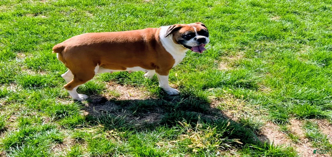 Gallery Image {{count}}