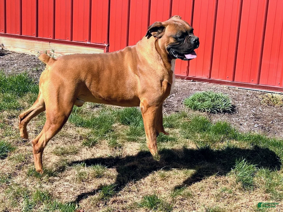 Gallery Image {{count}}