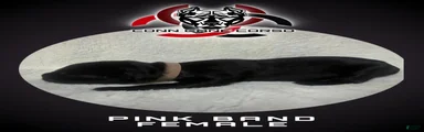 Cane Corso Puppy 6