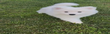 Nimbus 