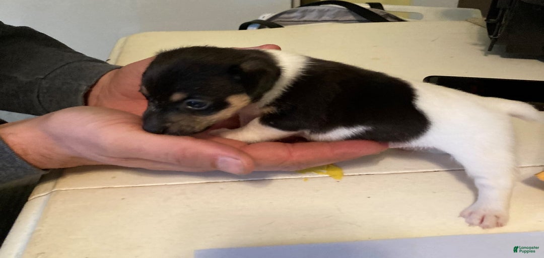 Gallery Image {{count}}