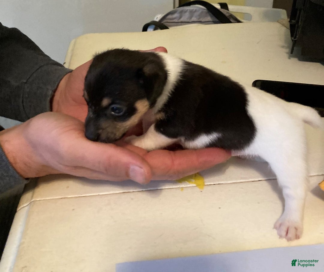 Gallery Image {{count}}