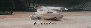 Koda 