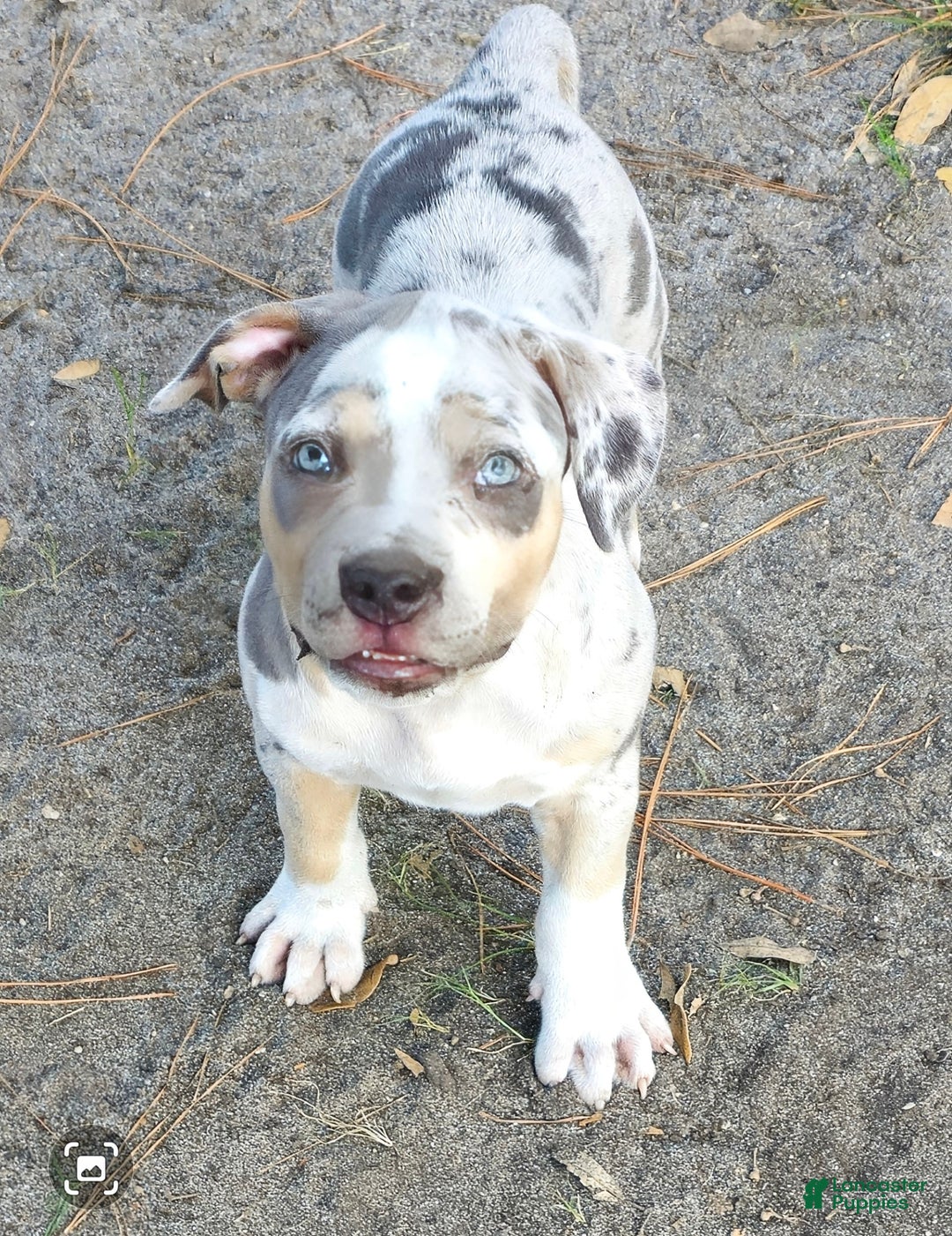 Gallery Image {{count}}