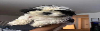 Casper