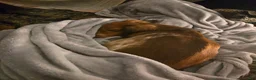 Miniature Dachshund dogs for sale: Bonita  - Ad 5