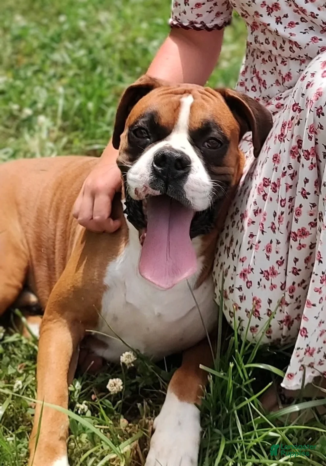 Gallery Image {{count}}