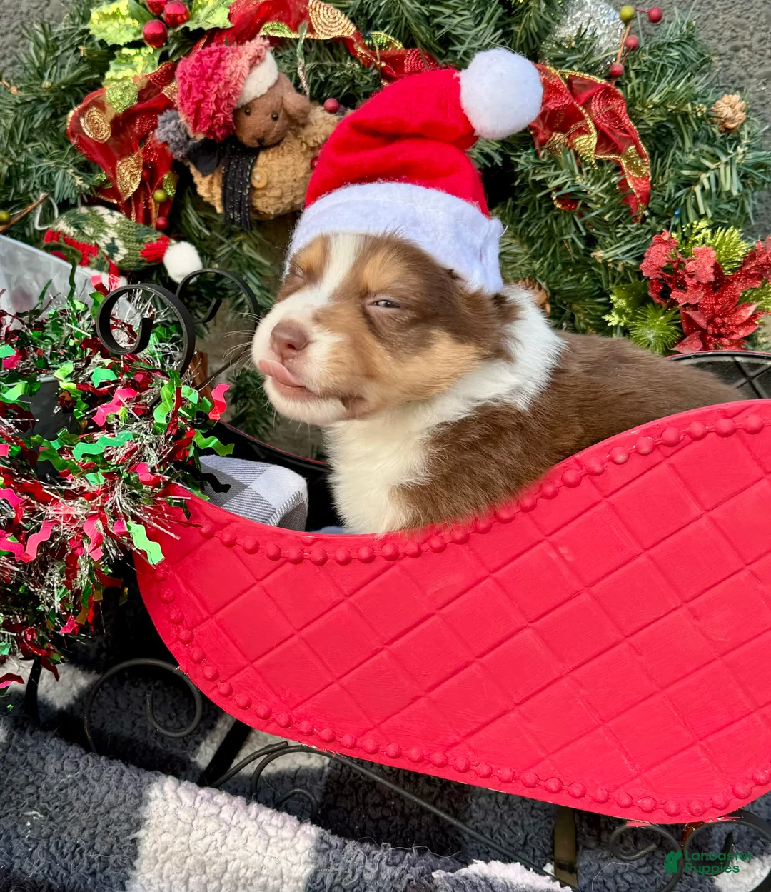 Gallery Image {{count}}