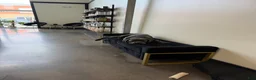 Cane Corso dogs for sale: Garth  - Ad 1