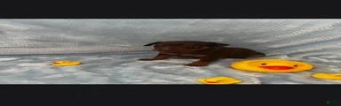 Miniature Pinscher 1