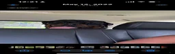 Rottweiler dogs for sale: Rottweiler 1 - Ad 10