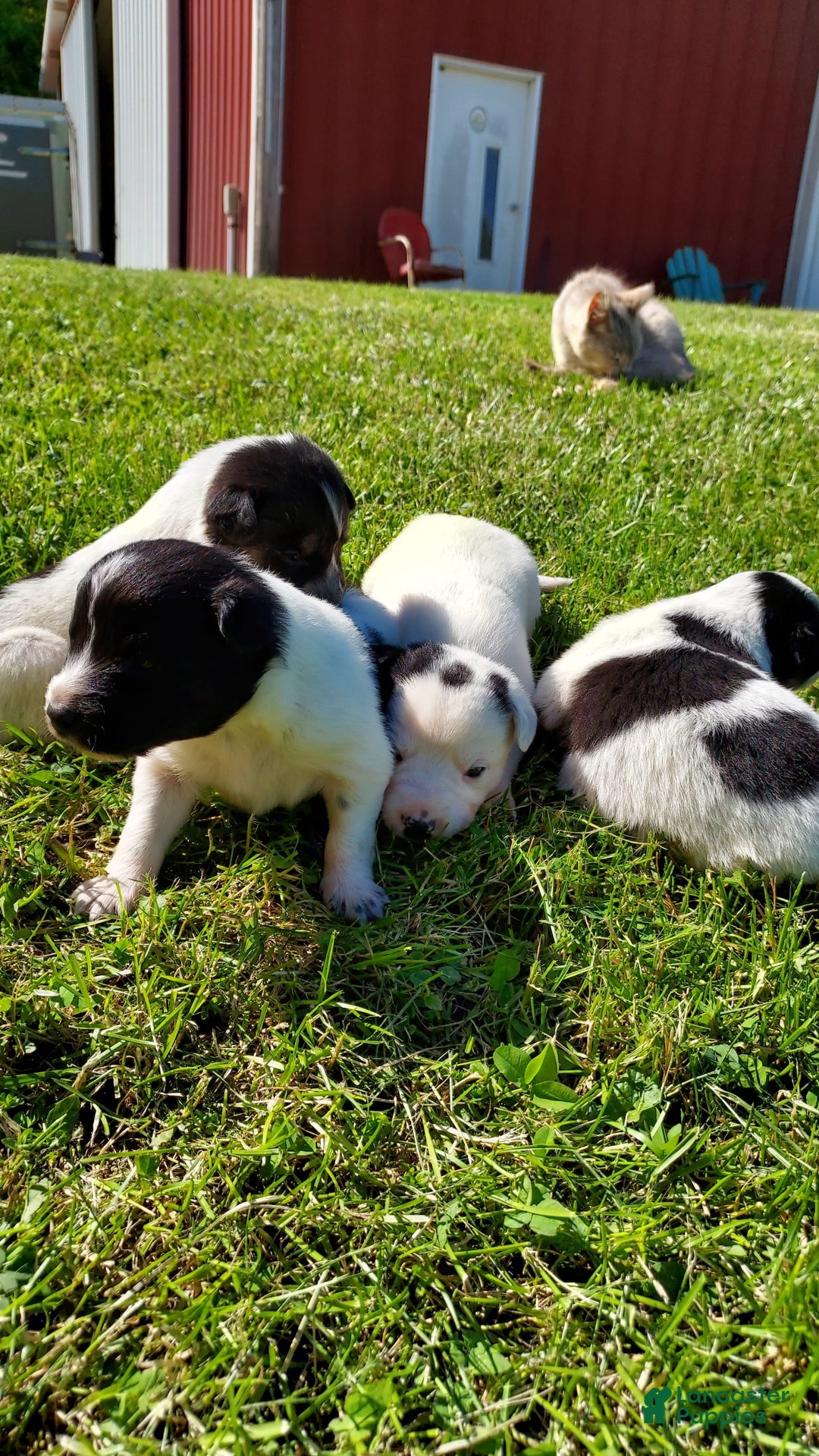 Gallery Image {{count}}